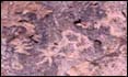 Thumbnail of petroglyph